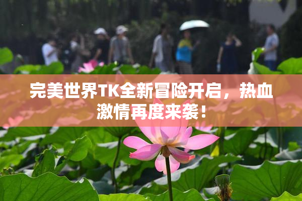完美世界TK全新冒险开启，热血激情再度来袭！