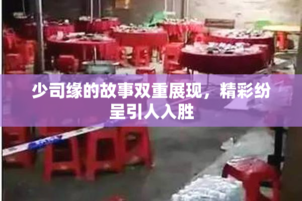 少司缘的故事双重展现，精彩纷呈引人入胜