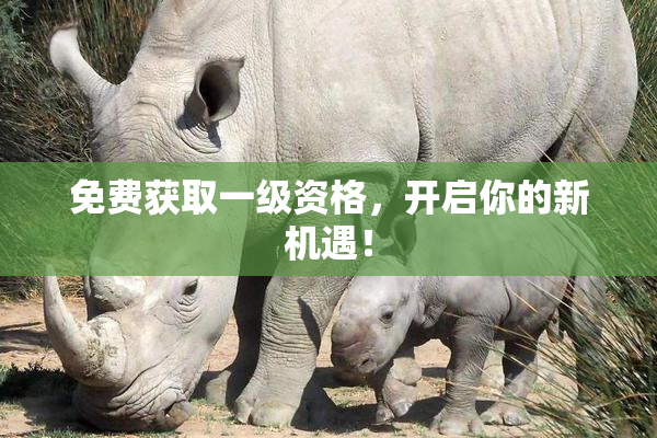 免费获取一级资格，开启你的新机遇！