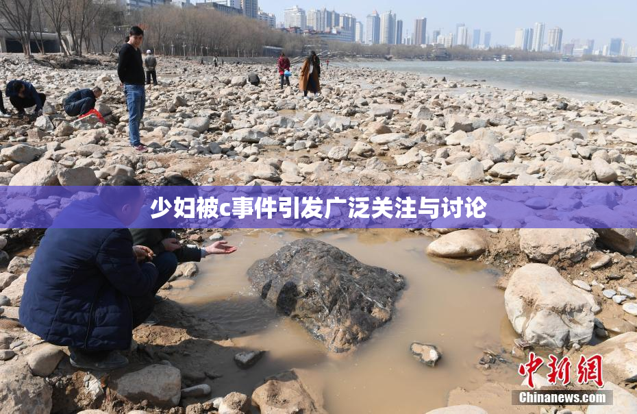 少妇被c事件引发广泛关注与讨论