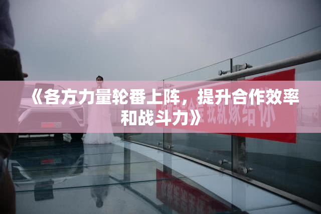 《各方力量轮番上阵，提升合作效率和战斗力》