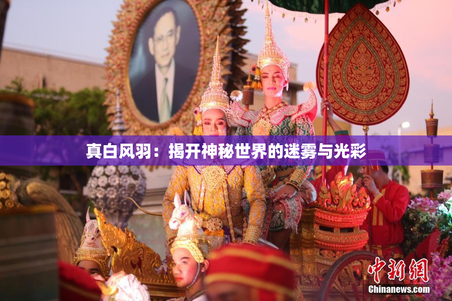 真白风羽：揭开神秘世界的迷雾与光彩