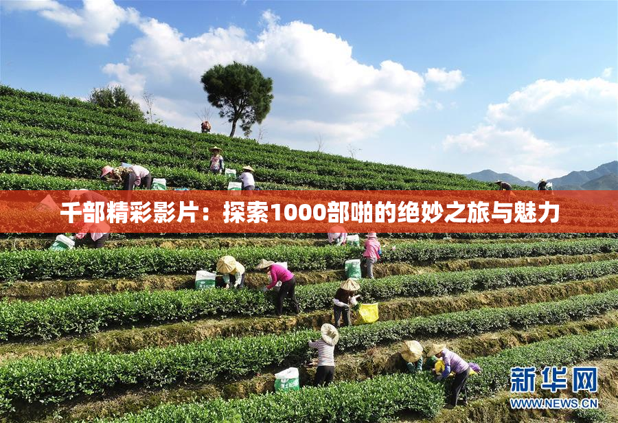 千部精彩影片：探索1000部啪的绝妙之旅与魅力