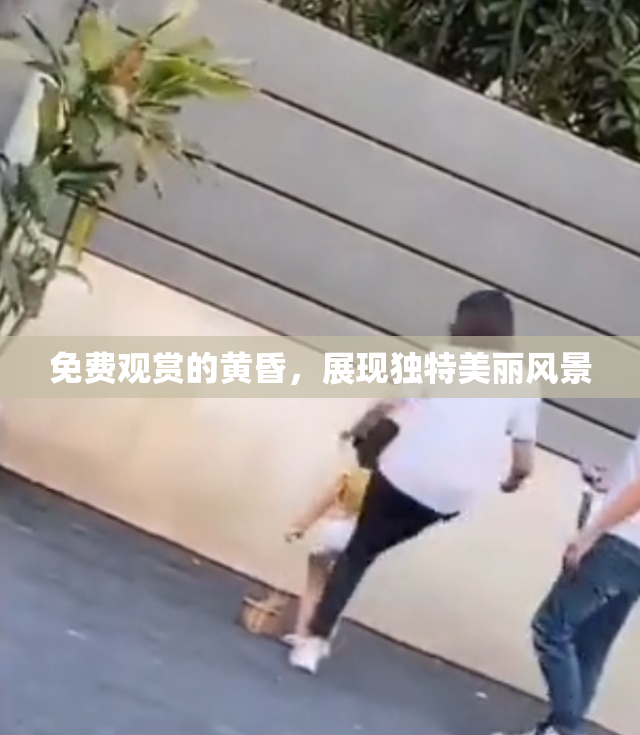 免费观赏的黄昏，展现独特美丽风景