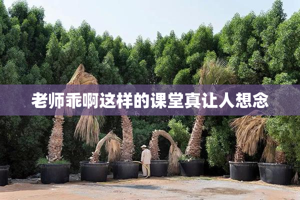 老师乖啊这样的课堂真让人想念
