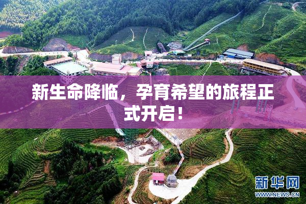 新生命降临，孕育希望的旅程正式开启！
