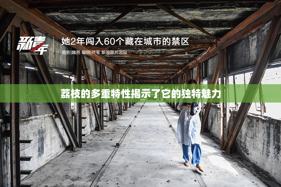 荔枝的多重特性揭示了它的独特魅力