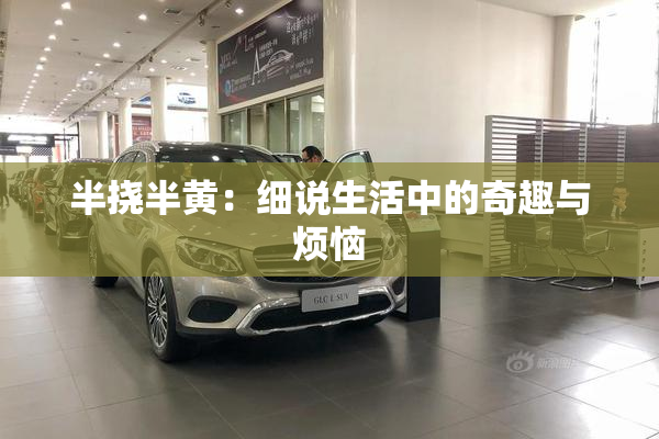 半挠半黄：细说生活中的奇趣与烦恼