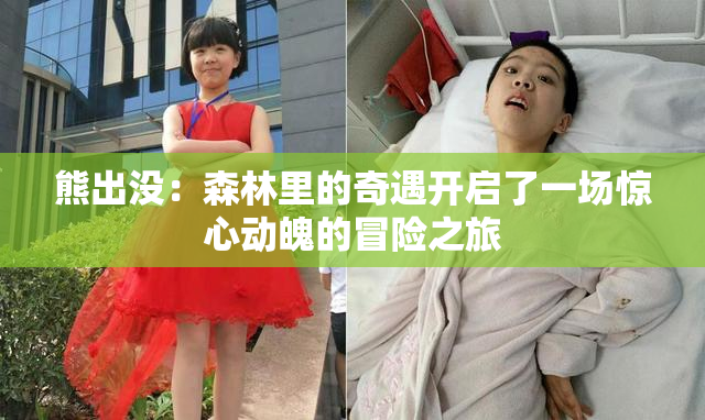 熊出没：森林里的奇遇开启了一场惊心动魄的冒险之旅