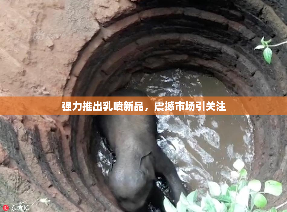 强力推出乳喷新品，震撼市场引关注