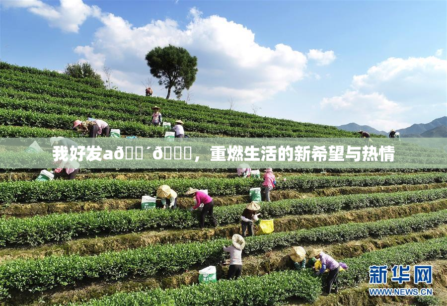 我好发a🔴🍑，重燃生活的新希望与热情