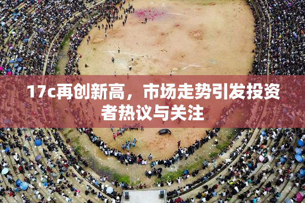 17c再创新高，市场走势引发投资者热议与关注