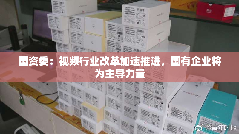 国资委：视频行业改革加速推进，国有企业将为主导力量