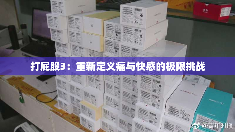 打屁股3：重新定义痛与快感的极限挑战