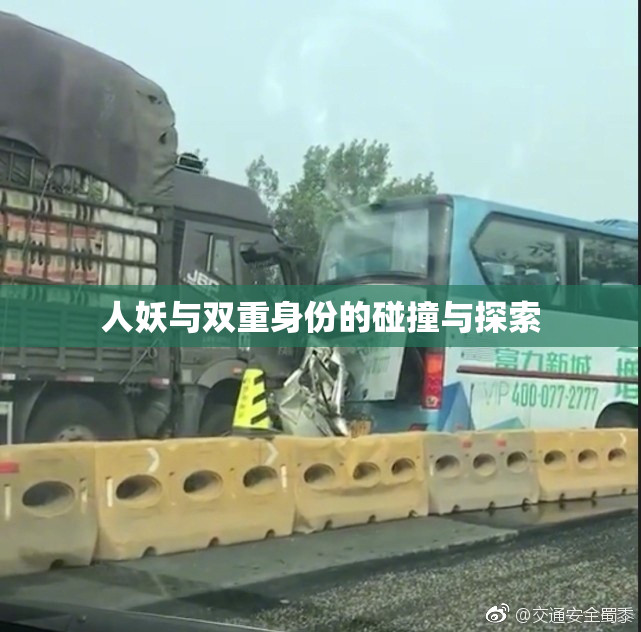 人妖与双重身份的碰撞与探索