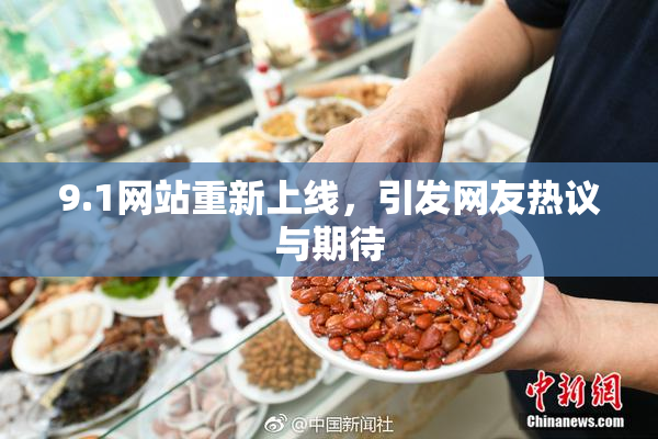 9.1网站重新上线，引发网友热议与期待