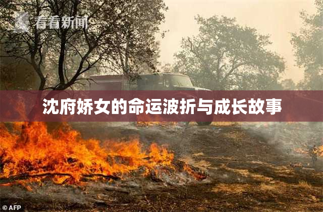沈府娇女的命运波折与成长故事