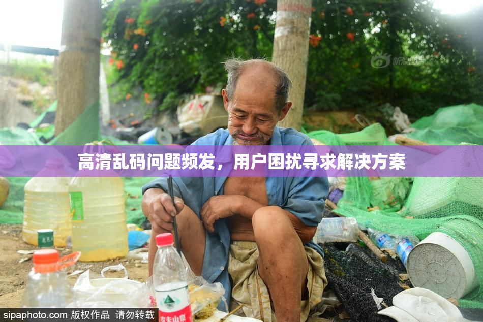 高清乱码问题频发，用户困扰寻求解决方案