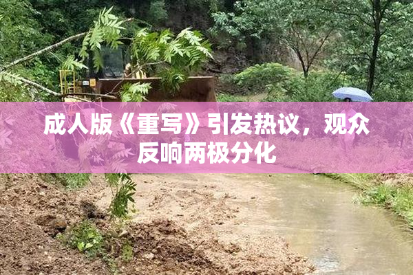 成人版《重写》引发热议，观众反响两极分化
