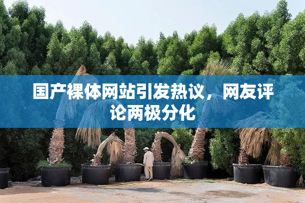 国产裸体网站引发热议，网友评论两极分化