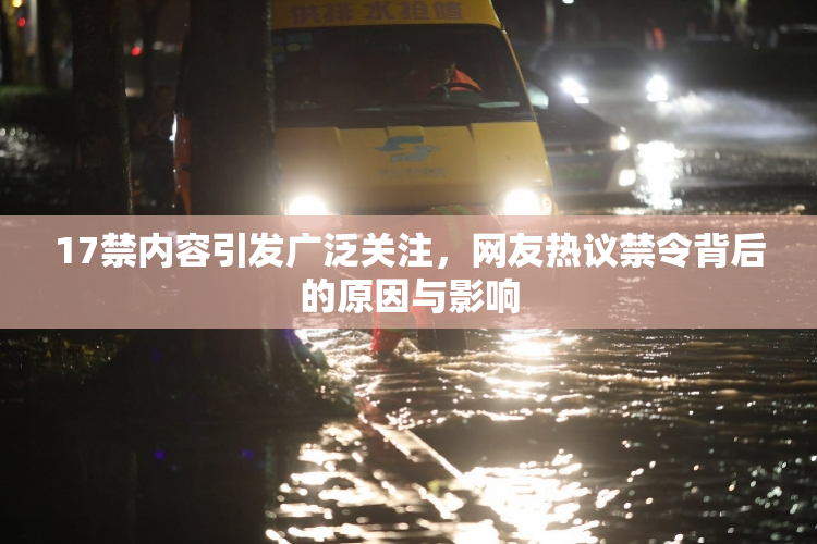 17禁内容引发广泛关注，网友热议禁令背后的原因与影响