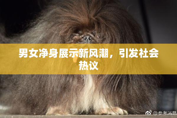 男女净身展示新风潮，引发社会热议