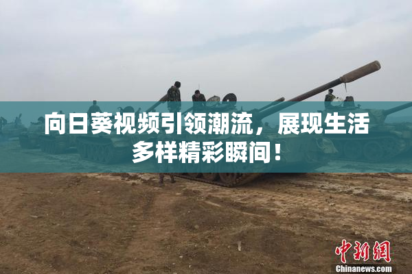 向日葵视频引领潮流，展现生活多样精彩瞬间！