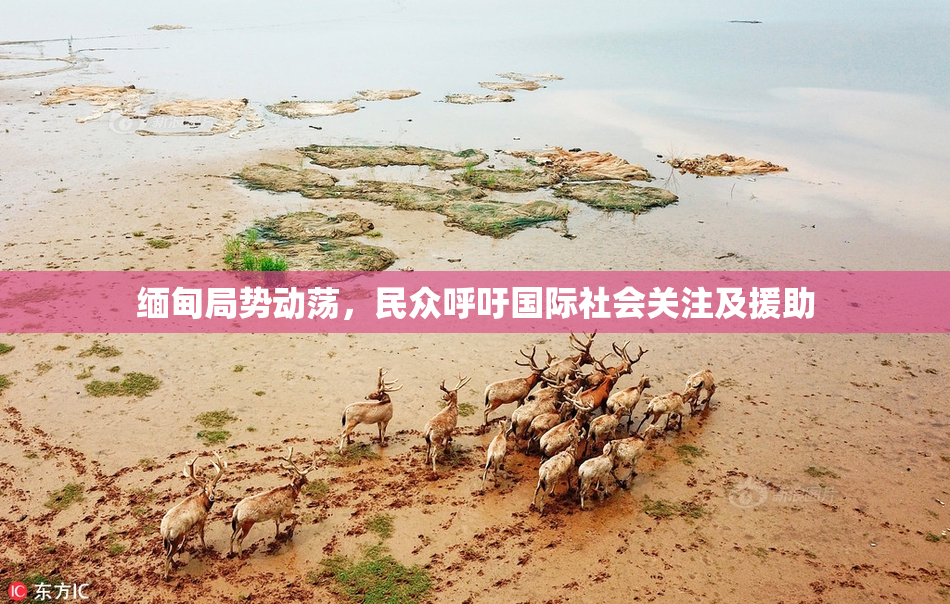 缅甸局势动荡，民众呼吁国际社会关注及援助