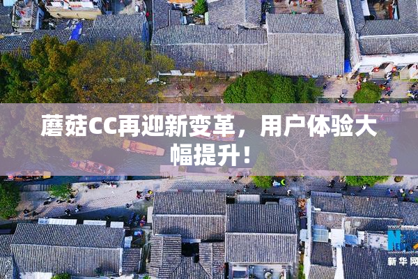 蘑菇CC再迎新变革，用户体验大幅提升！