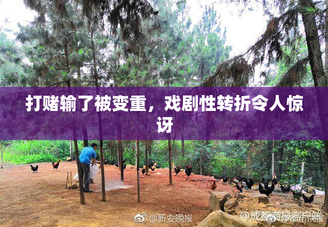 打赌输了被变重，戏剧性转折令人惊讶