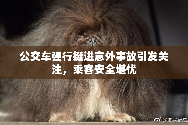 公交车强行挺进意外事故引发关注，乘客安全堪忧