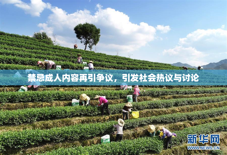 禁忌成人内容再引争议，引发社会热议与讨论