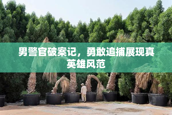 男警官破案记，勇敢追捕展现真英雄风范