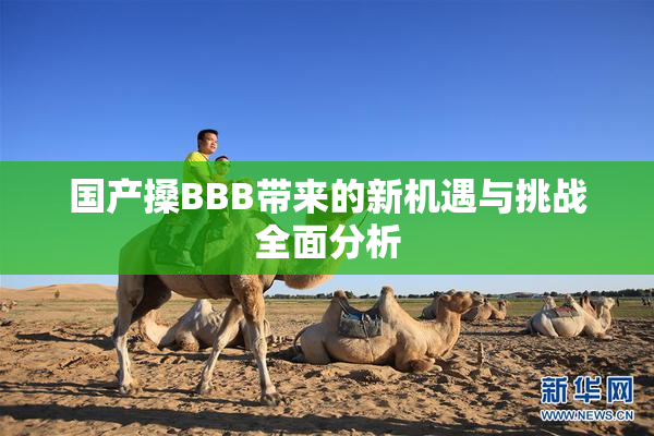 国产搡BBB带来的新机遇与挑战全面分析