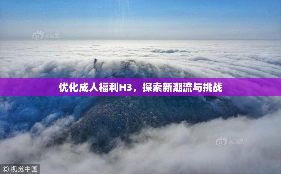 优化成人福利H3，探索新潮流与挑战