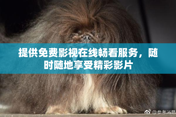 提供免费影视在线畅看服务，随时随地享受精彩影片