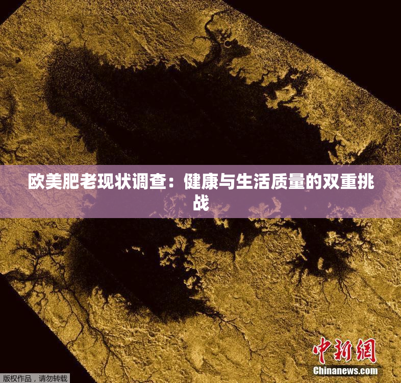 欧美肥老现状调查：健康与生活质量的双重挑战