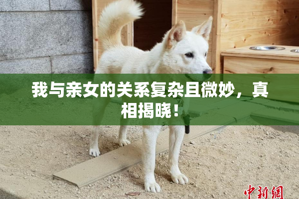 我与亲女的关系复杂且微妙，真相揭晓！