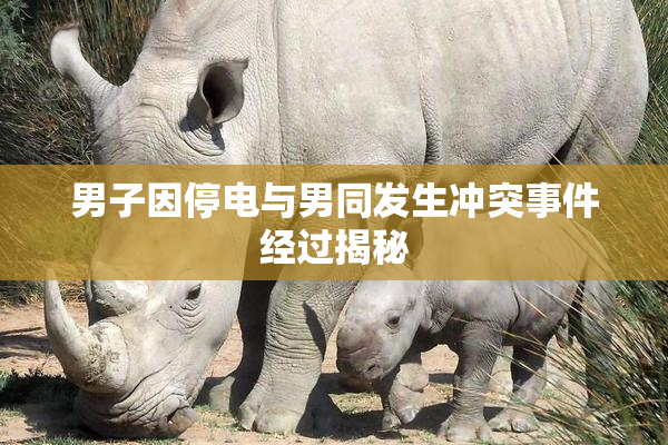 男子因停电与男同发生冲突事件经过揭秘