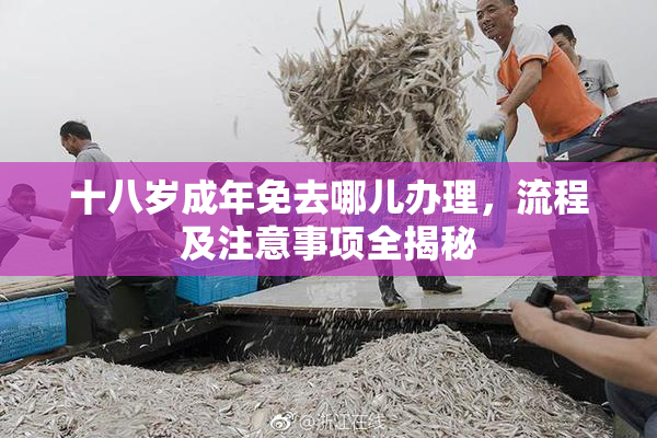 十八岁成年免去哪儿办理，流程及注意事项全揭秘