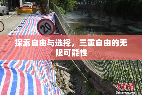 探索自由与选择，三重自由的无限可能性