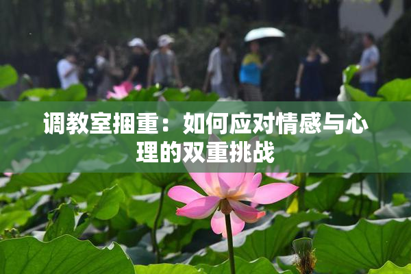 调教室捆重：如何应对情感与心理的双重挑战