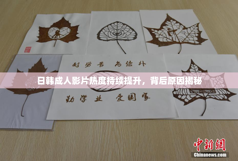 日韩成人影片热度持续提升，背后原因揭秘