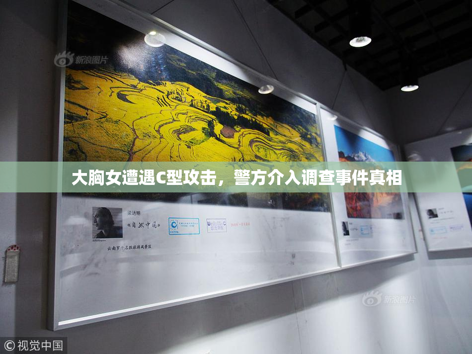 大胸女遭遇C型攻击，警方介入调查事件真相
