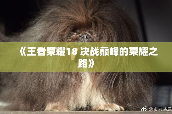 《王者荣耀18 决战巅峰的荣耀之路》