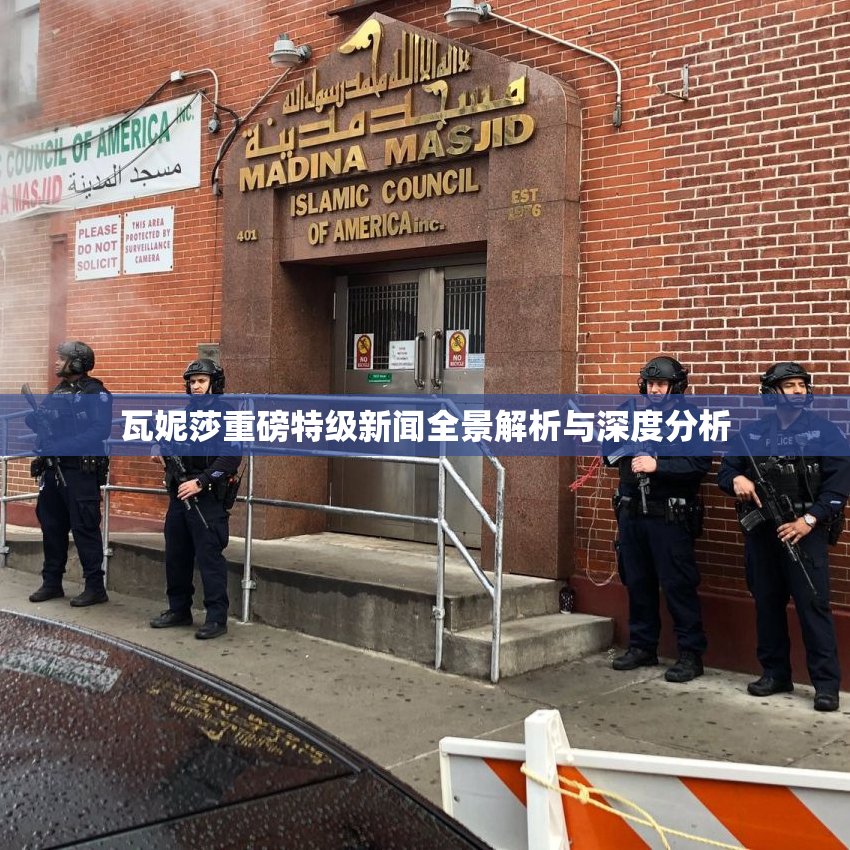 瓦妮莎重磅特级新闻全景解析与深度分析