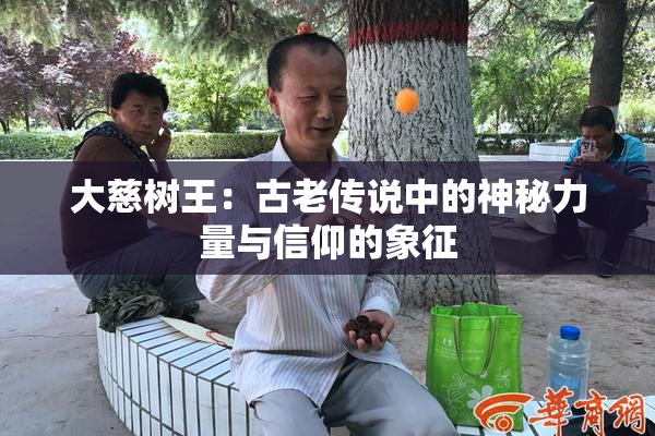 大慈树王：古老传说中的神秘力量与信仰的象征
