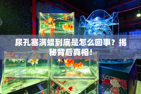 尿孔塞满蜡到底是怎么回事？揭秘背后真相！