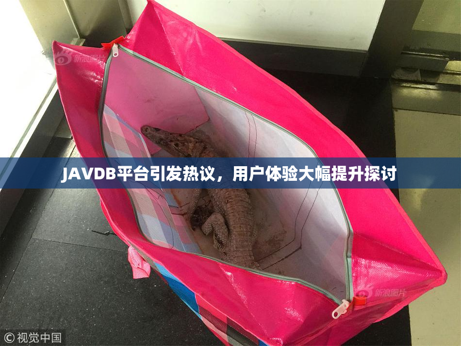 JAVDB平台引发热议，用户体验大幅提升探讨