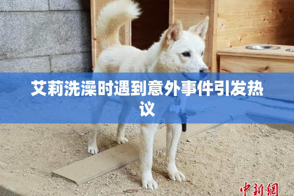 艾莉洗澡时遇到意外事件引发热议